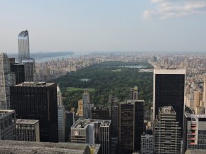 Central Park en Nueva York con árboles, senderos y naturaleza en medio de la ciudad.