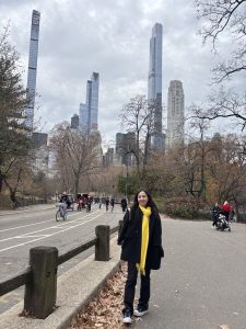 Central Park en Nueva York con vistas al skyline de Manhattan