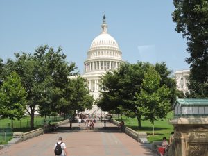 Edificio del Capitolio de los Estados Unidos en Washington D.C., sede del Congreso estadounidense con su icónica cúpula blanca bajo cielo despejado.