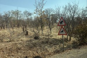Cartel de señalización vial que advierte sobre el peligro de cruce de elefantes en la carretera de Zimbabue